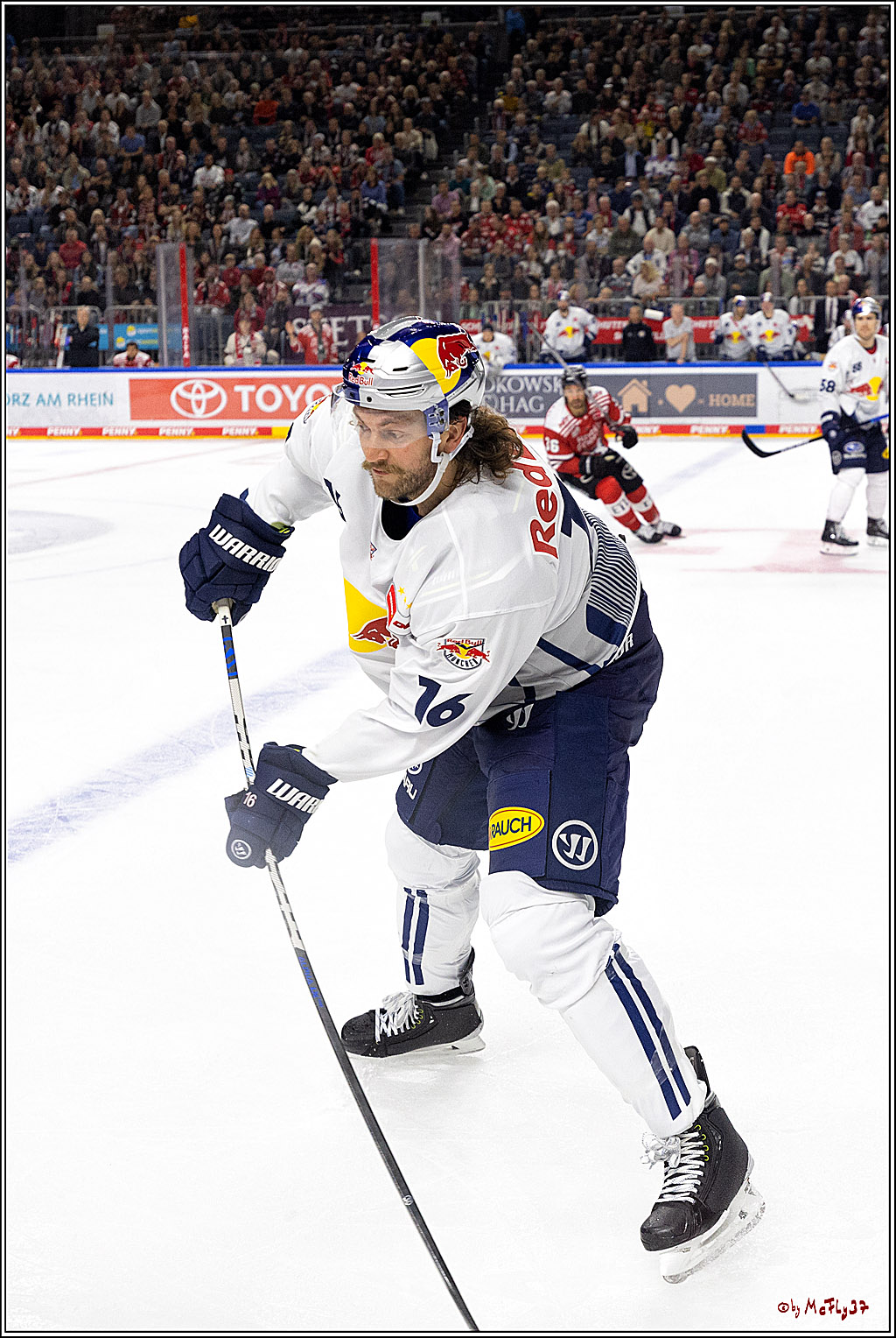 PENNY DEL;  Kölner Haie - EHC Red Bull München; Köln, 15.09.2022